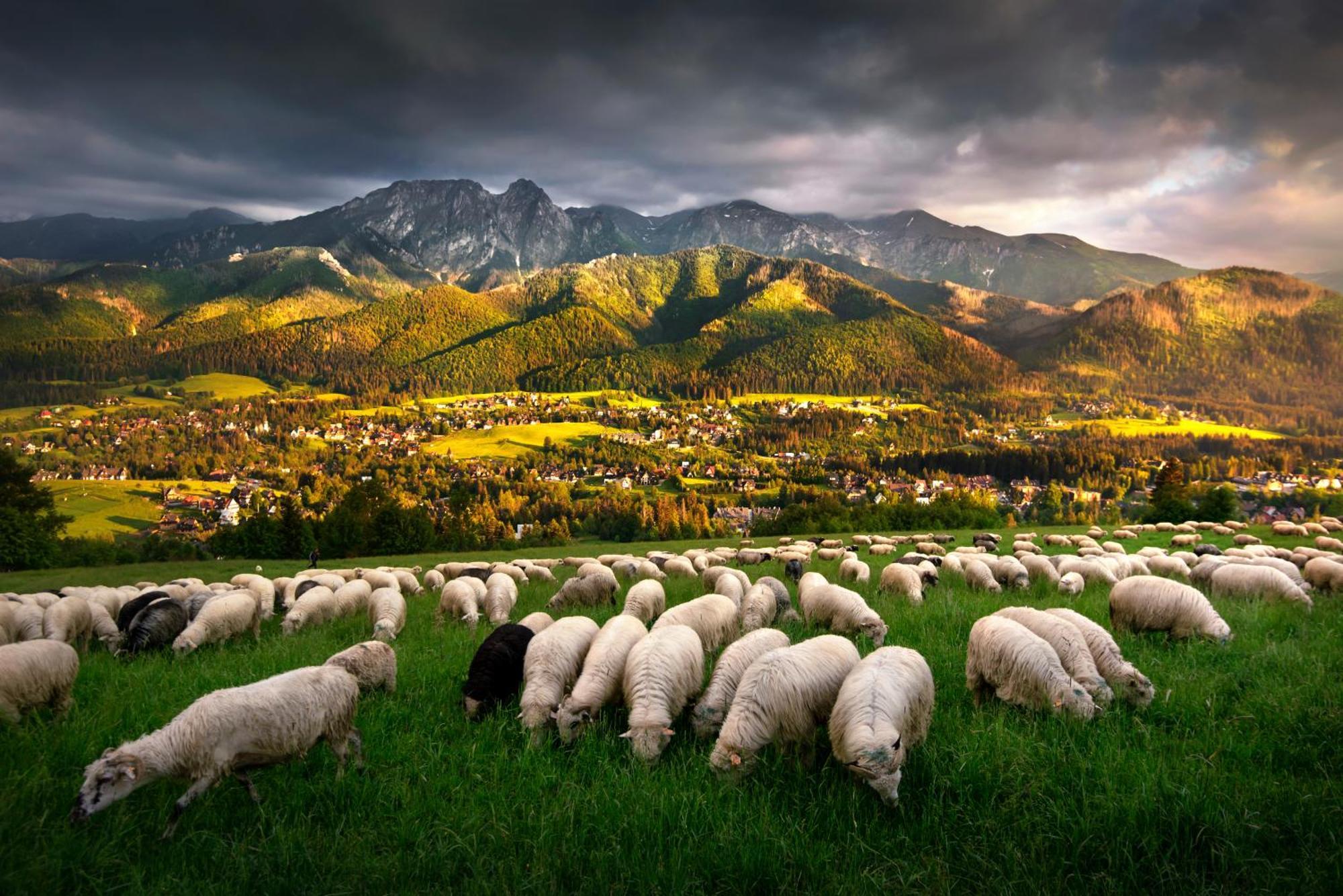 Gorska Osada Beautiful Chalets Zakopane Esterno foto